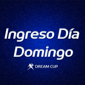 Ingreso Día Domingo
